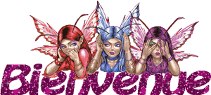 Gif animé bienvenue elfes